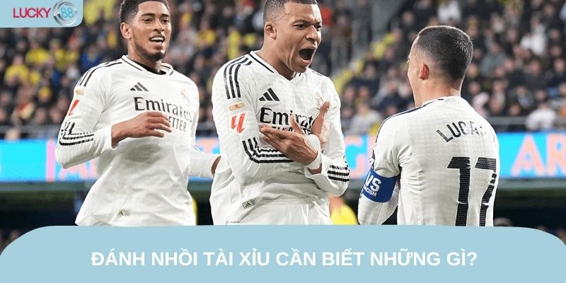 Đánh nhồi tài xỉu cần biết những gì?