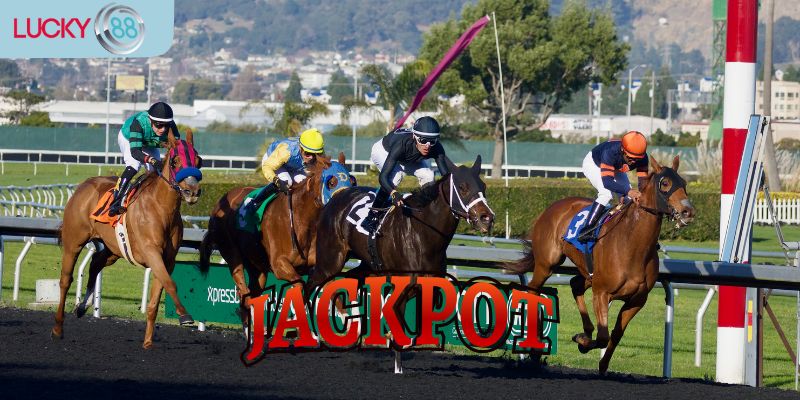 Những lợi ích mà chương trình này mang đến cho người chơi